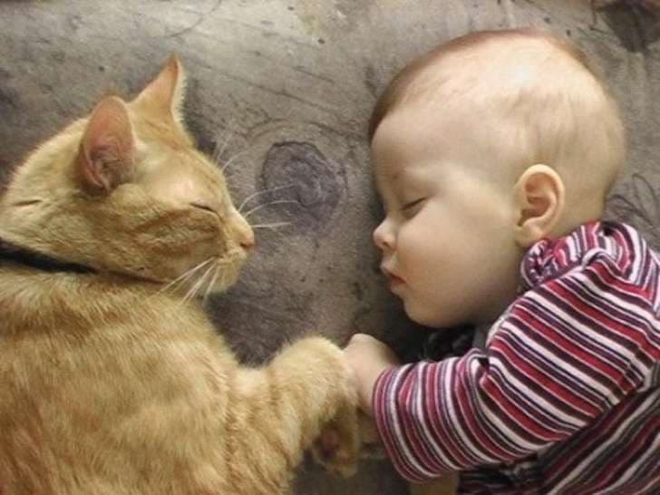 Dashuria e maceve nuk përshkruhet me fjalë (FOTO)