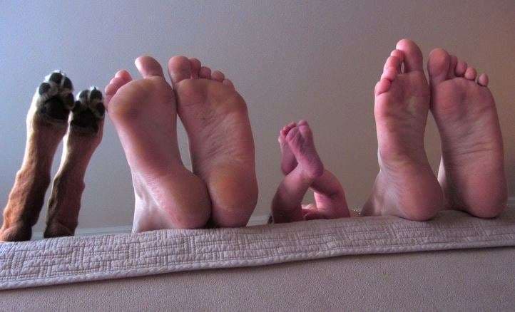 Mrekullia e familjes nuk përshkruhet me fjalë (FOTO)