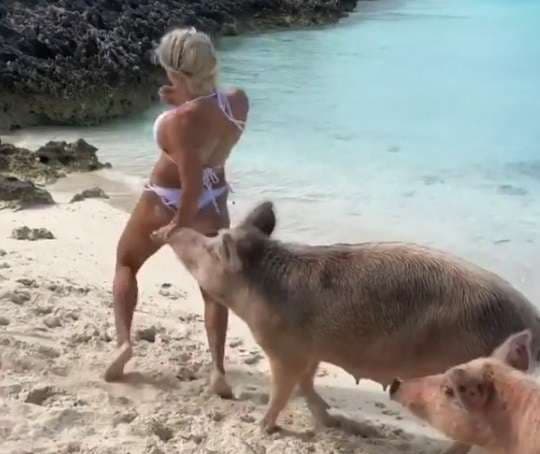 Derri i egër ia kafshon të pasmet modeles së njohur, videoja bëhet virale