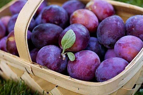 Përfitimet shëndetësore nga kumbulla