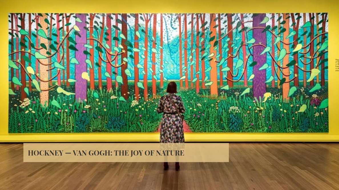 “Hockney – Van Gogh” ekspozita që po bën bujë në Amsterdam (FOTO)