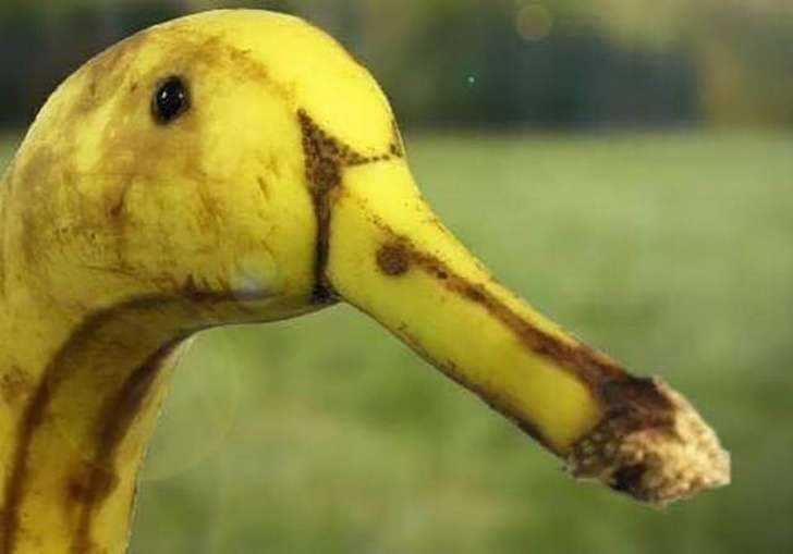 Fotografitë që mund t’ju mashtrojnë më lehtë se një magjistar