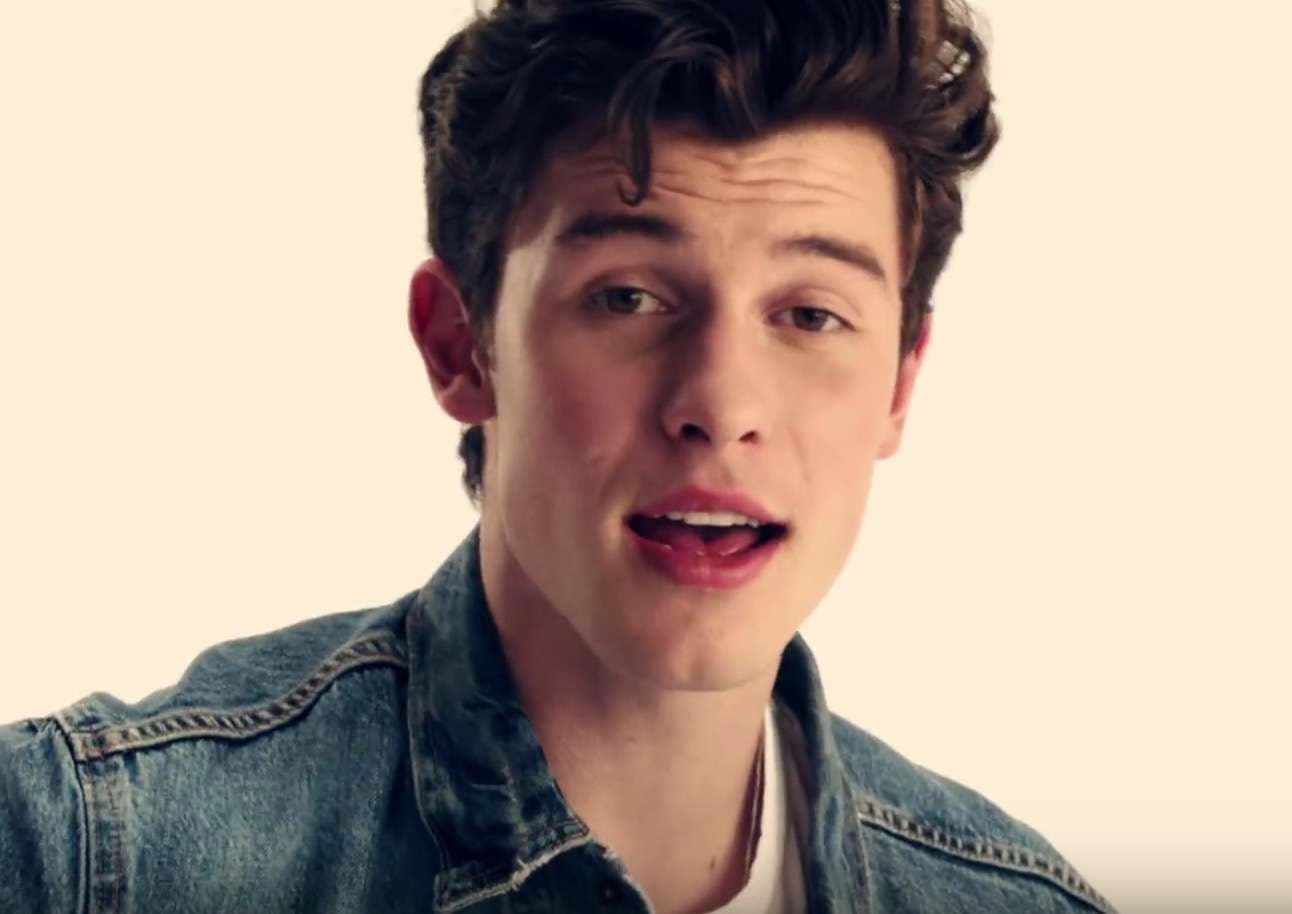 Shawn Mendes nis turneun
