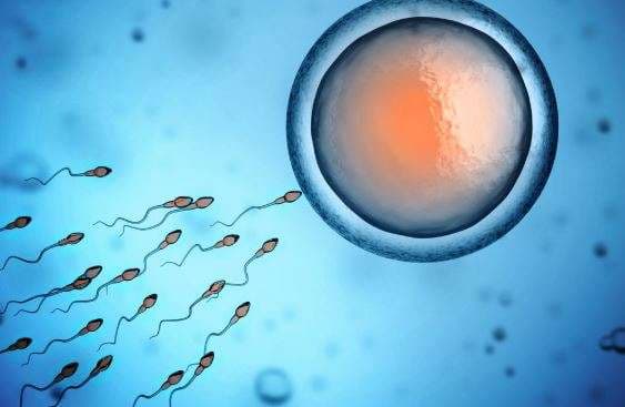 Shkencëtarët zbulojnë teknikën për të mbrojtur fertilitetin tek djemtë me kancer