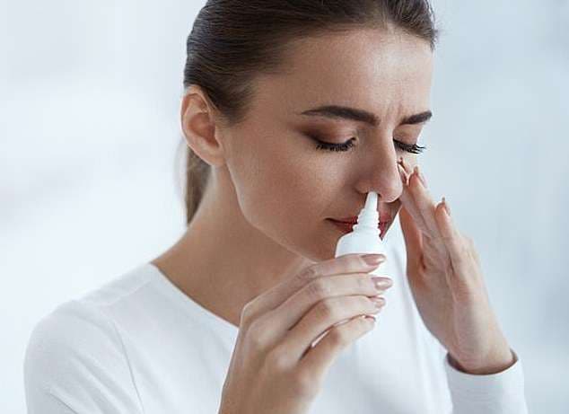 Sprej i hundës me ‘’hormonin e dashurisë’’, potencial për të luftuar alkoolizmin