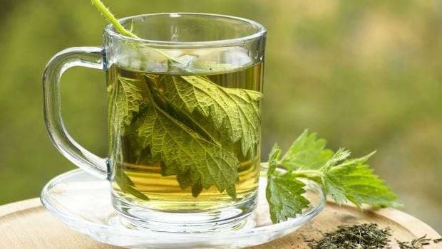 Çaji i hithrave është ilaç për shumë sëmundje
