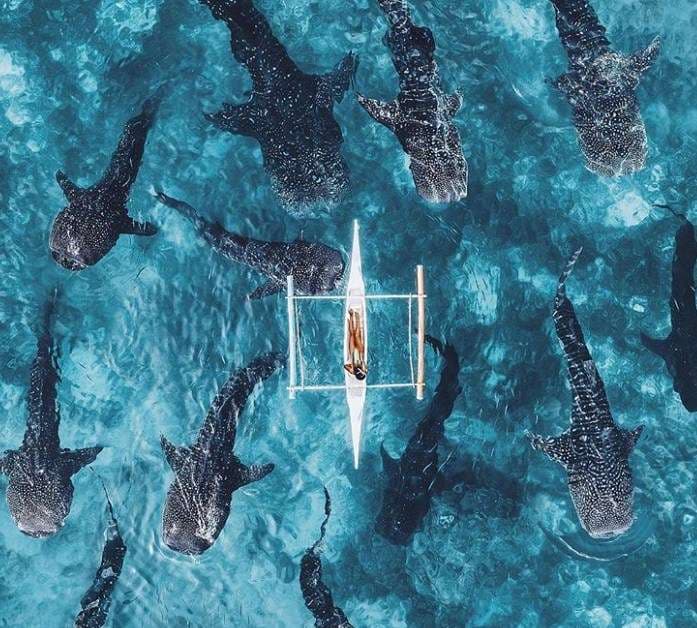 Kur droni kap pamje fantastike (FOTO)