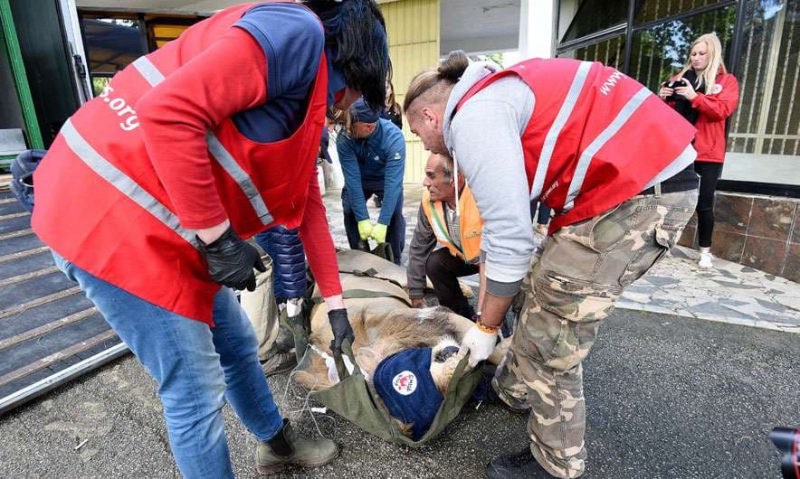 Luanët e Fierit nisen drejt Holandës (FOTO)