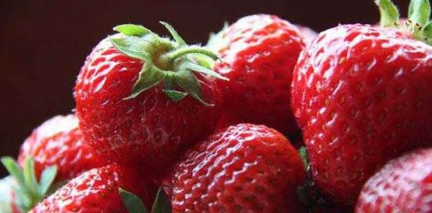 Çfarë ndodh me trupin tonë nëse hamë dredhëza çdo ditë?