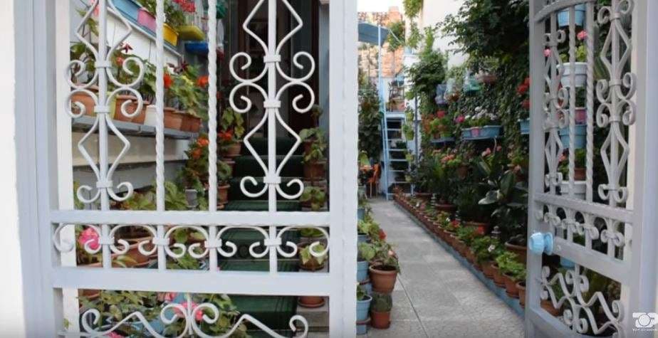 Korçë, në kopshtin shumëngjyrësh, Grabocka kujdeset për lulet e oborrit prej 56 vjetësh