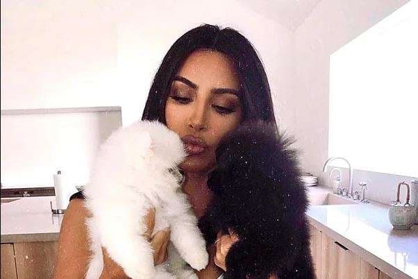 Kim Kardashian kërkon ndihmë nga adhuruesit për emrat e qenushëve