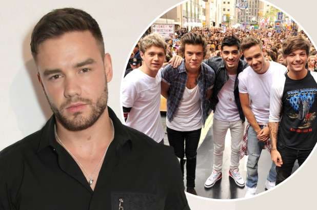 Liam Payne thotë se të qenit në “One Direction - gati e vrau atë