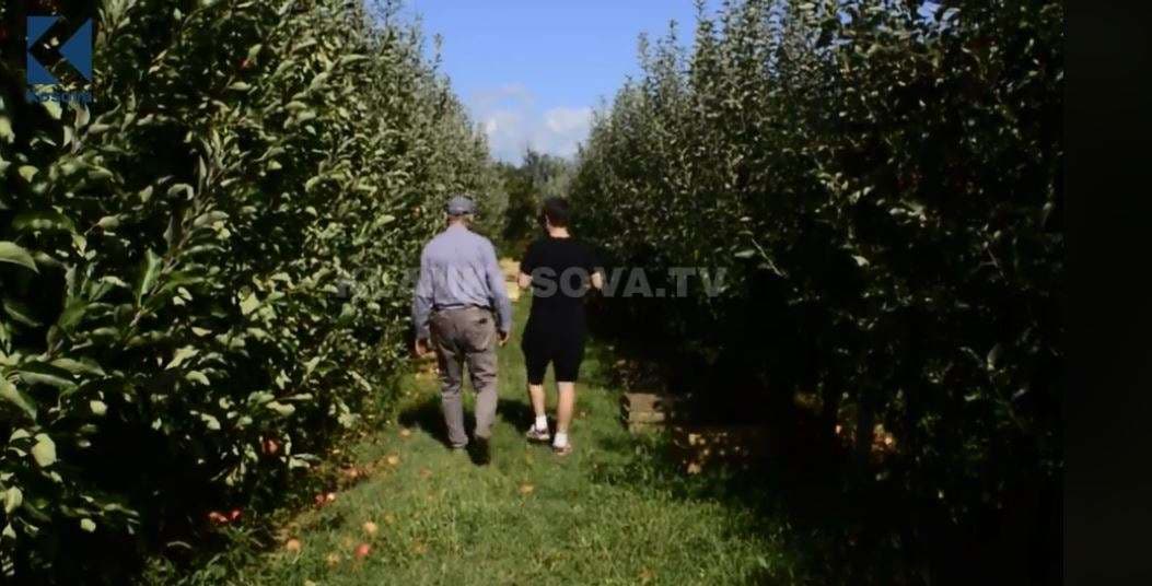 Prodhimet organike dhe identifikimi i tyre (VIDEO)
