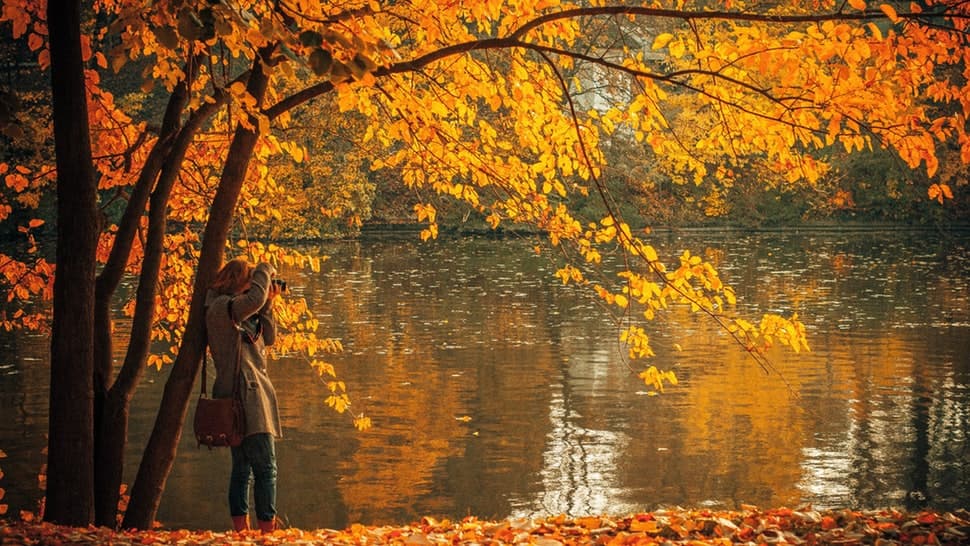 Gjashtë gjëra që i ndodhin trupit dhe mendjes suaj në vjeshtë