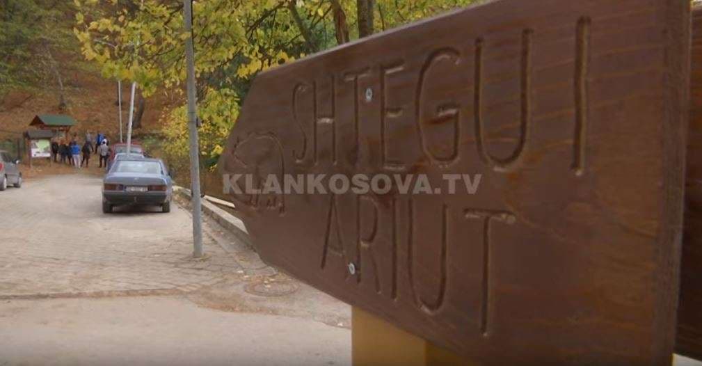 Gërmia bëhet me shtigje për breshka e arinj (VIDEO)