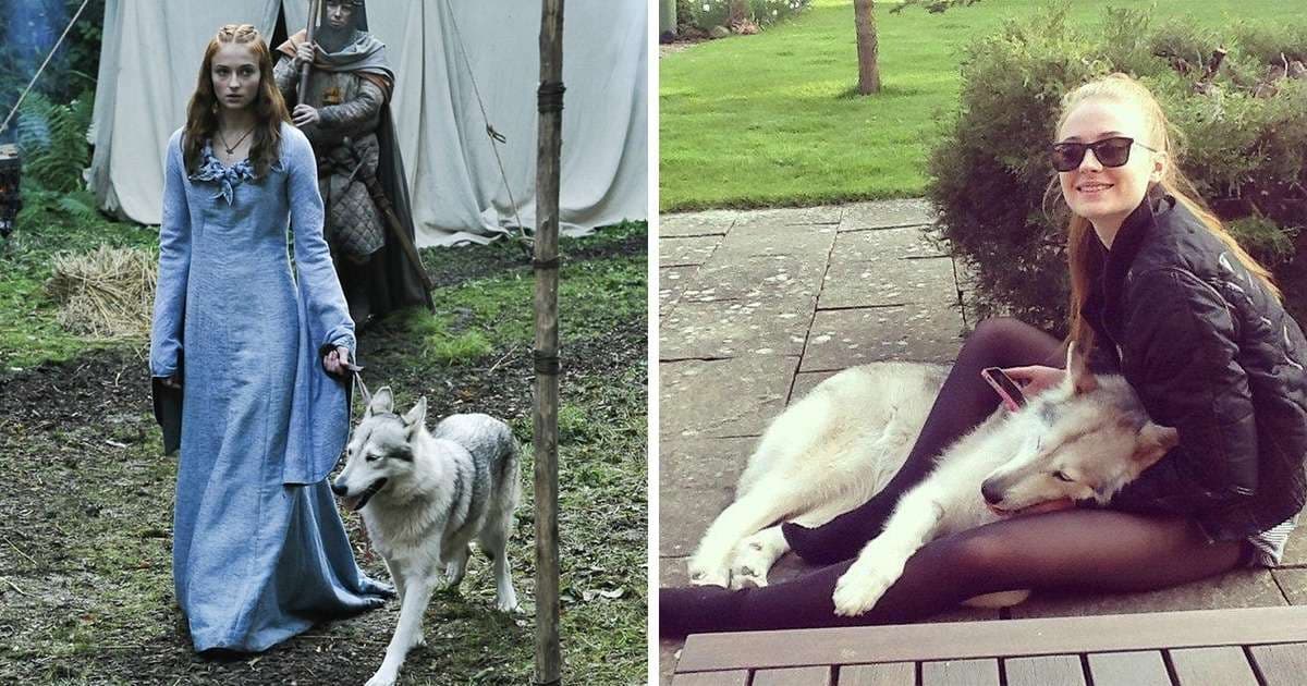 Aktorët që refuzuan të ndahen nga kafshët që luajtën në filma