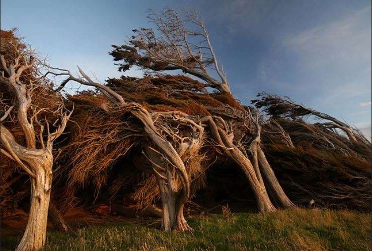 Fotografi që vërtetojnë se natyra është forca më e madhe në planet