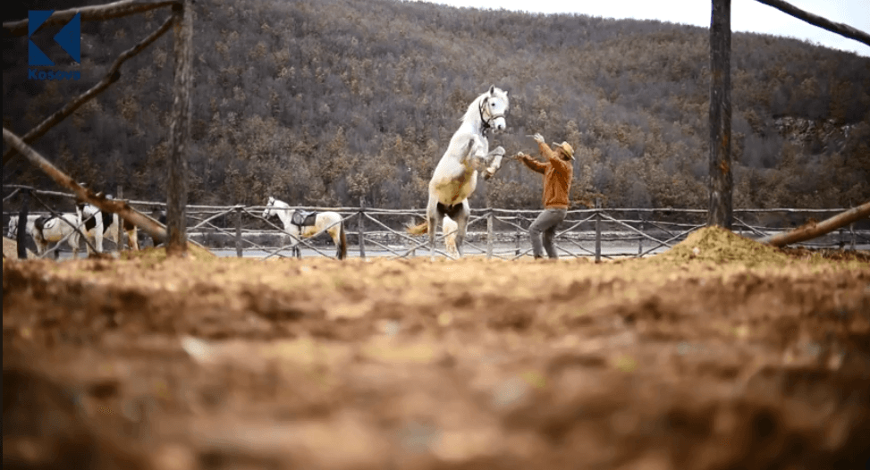 Një ditë kalërim tek Guri i Plakës (VIDEO)