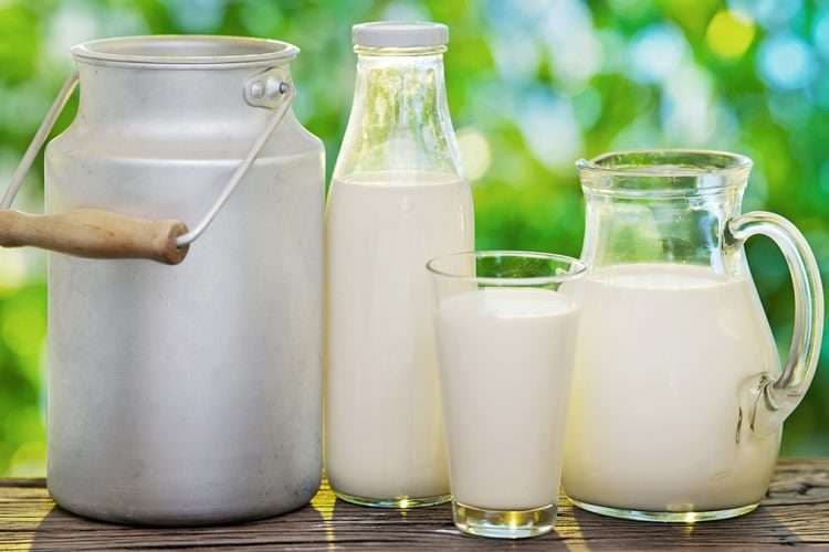 Fermerët e Korishës në karantinë, qumështoret e Prizrenit mbesin keq pa qumësht