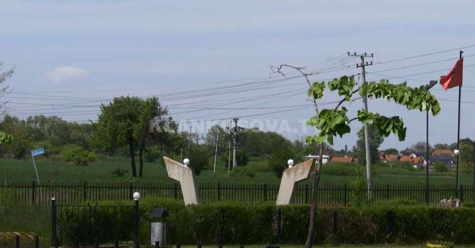 Ferizajasit lirohen nga virusi (VIDEO)