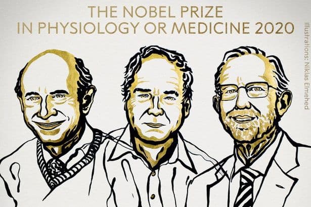 Çmimi Nobel në mjekësi u jepet shkencëtarëve që zbuluan virusin e Hepatitit C