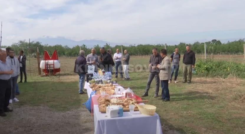 Kultivuesit e arrës shënojnë ditën e tyre (VIDEO)