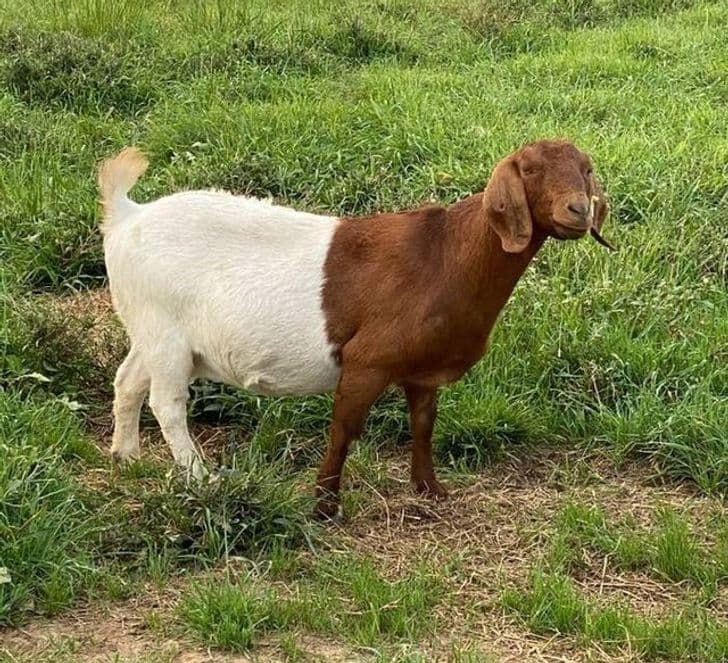 20 rezultate mahnitëse të Nënës Natyrë (FOTO)