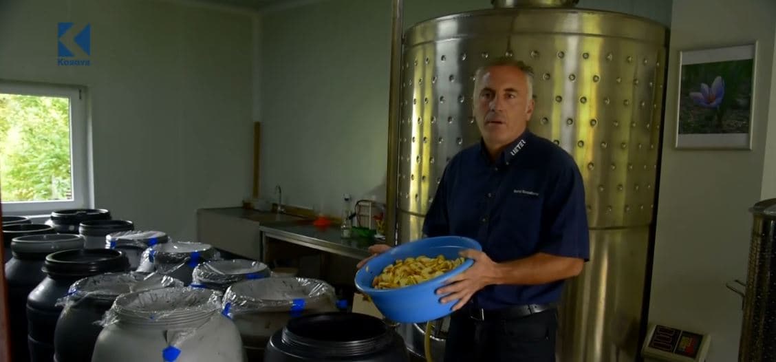 Uthulla e mollës së egër, ilaçi natyral për organizmin tonë (VIDEO)