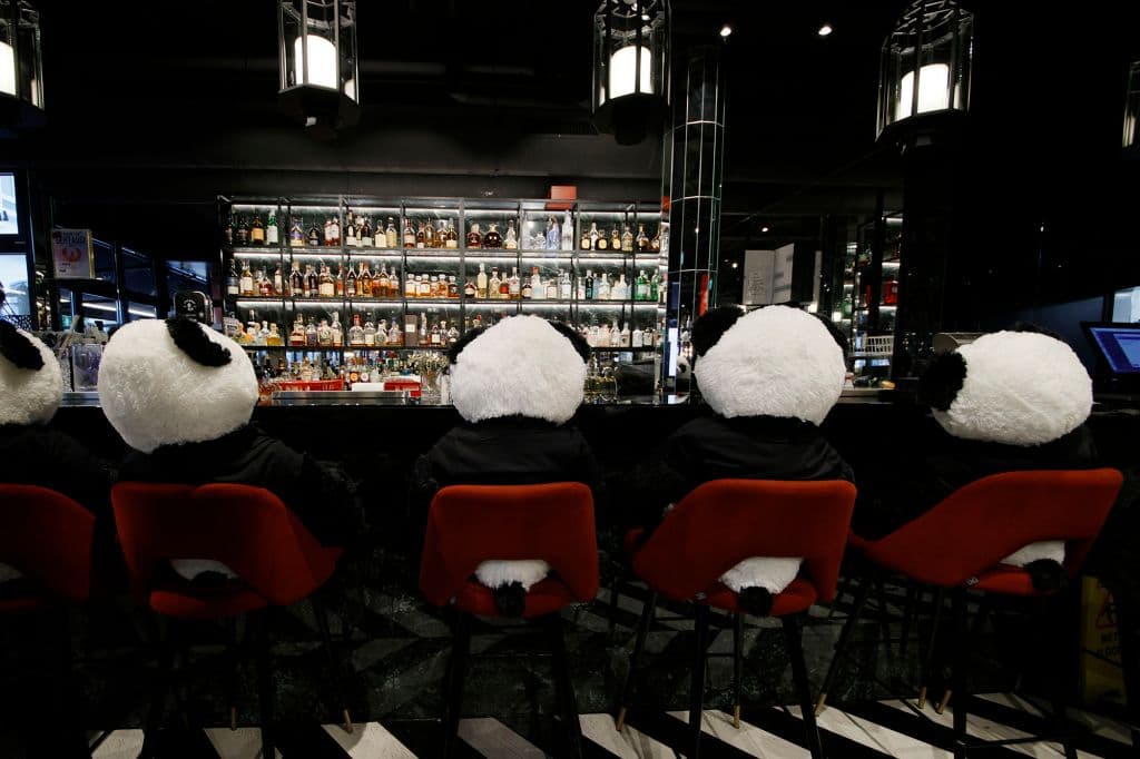 Restoranti gjerman proteston ndaj mbylljes me kukullat panda (VIDEO)