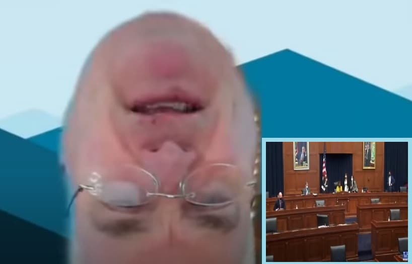 Kongresmeni shfaqet kokëposhtë në mbledhje, nuk di ta largojë filtrin e Zoom (VIDEO)