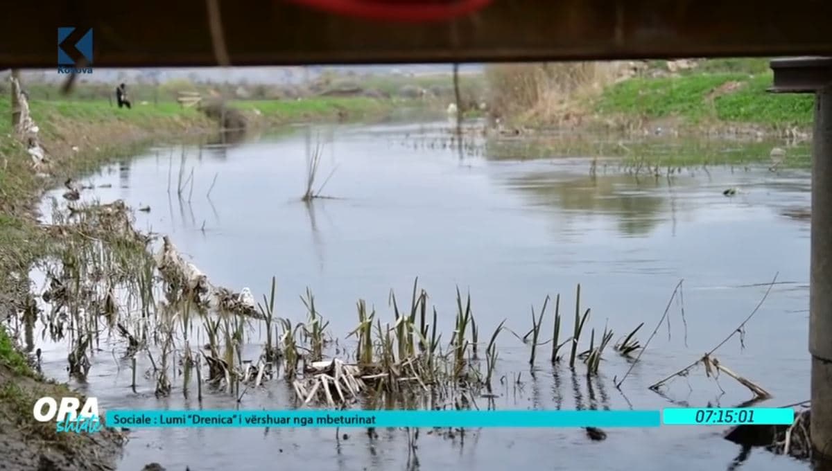Lumi "Drenica" i vërshuar nga mbeturinat (VIDEO)