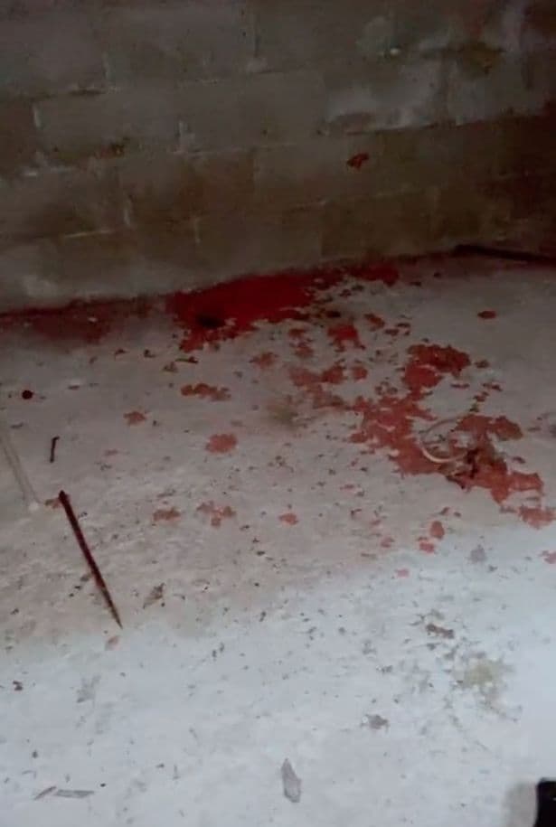 Aktivitetet drithëruese që çuan familjen të largohet nga shtëpia pasi zbuluan bodrumin e fshehtë (FOTO)