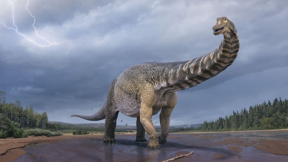 Specia e re e dinozaurit është më e madhja e gjetur në Australi