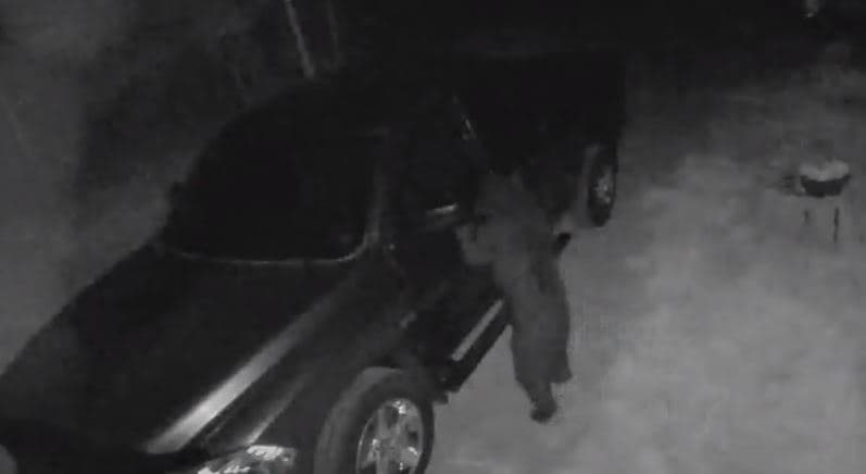 Momenti kur ariu hap derën e veturës dhe hyn brenda (VIDEO)