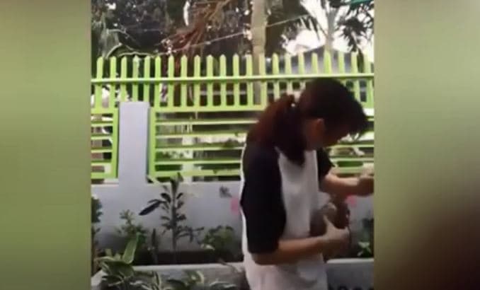Momenti kur breshka kafshon pronaren që po bënte video për TikTok (VIDEO)