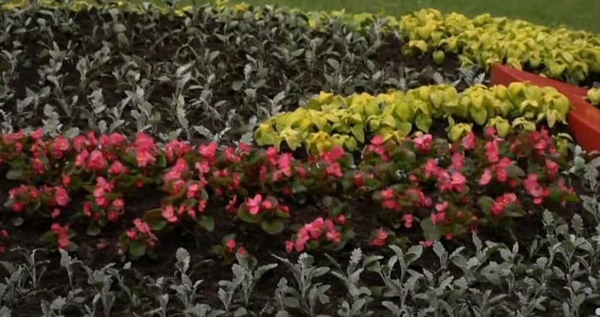 Festivali i Luleve e kthen parkun në galeri të jashtme (VIDEO)