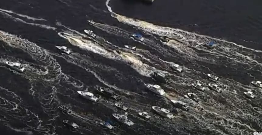 Festë me paradë të varkave në Tampa Bay (VIDEO)