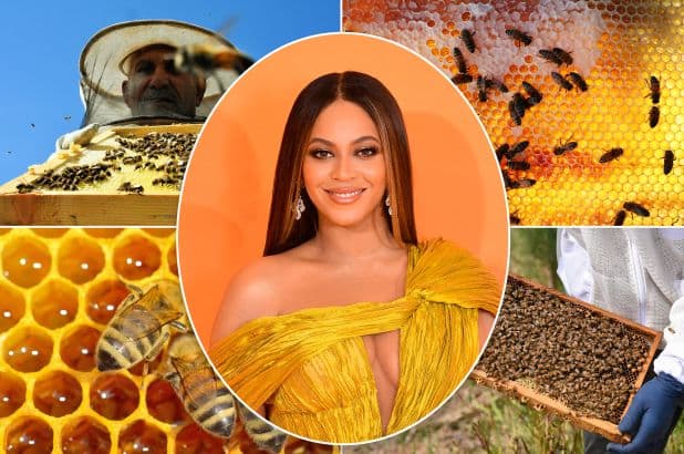 Beyonce po ndërton një fermë me bletë