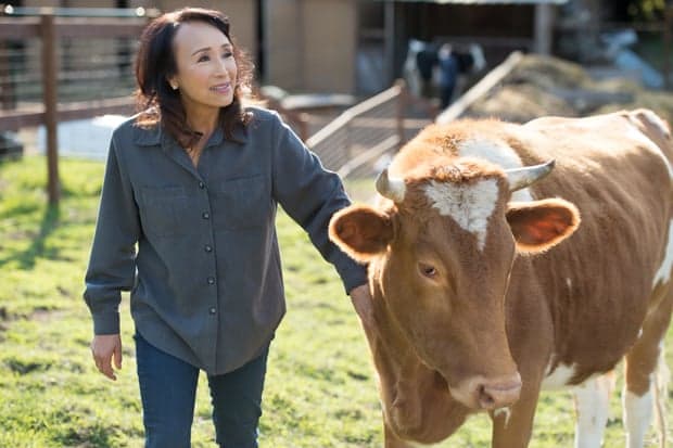 ‘Mbretëresha e djathit vegjetarian’ aspiron të ndryshojë industrinë e qumështit