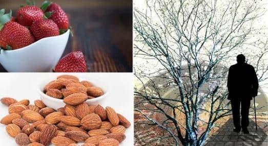 Ushqimet që duhet të konsumoni për të mbajtur larg Alzheimerin