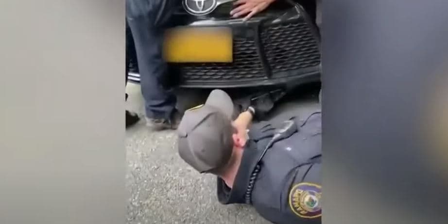 Macja shpëtohet nga policët, ishte futur te motori i një veture (VIDEO)