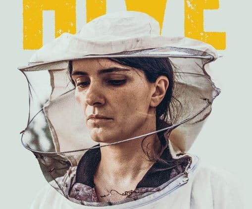 "Zgjoi" hyn në listën e ngushtë të nominimeve për Oscars