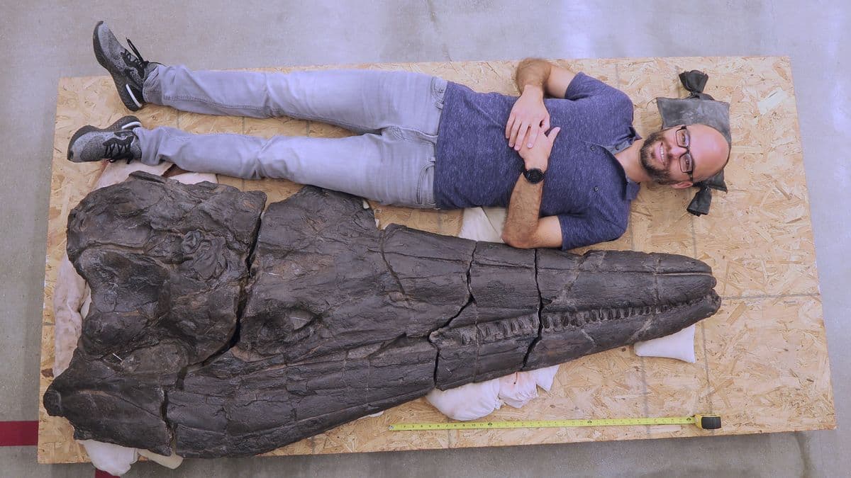 Kafka gjigante e përbindëshit prehistorik të detit zbulohet në vendin më të thatë në Tokë