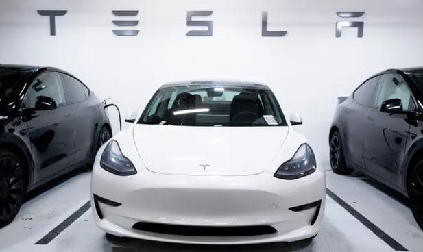 Gruaja lind foshnjën e saj në makinë ndërsa e aktivizoi autopilotin e Tesla-s