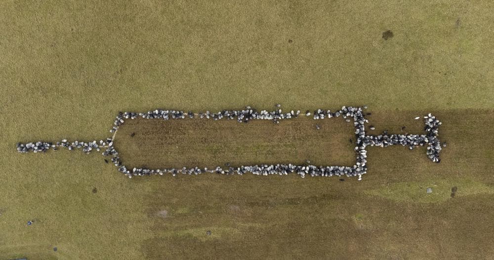Delet dhe dhitë formojnë shiringën e vaksinës në Gjermani, një përpjekje për të inkurajuar vaksinimin