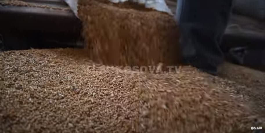 Konflikti ruso-ukrainas mund të shkaktojë shtrenjtim të bukës e vajit në Kosovë (VIDEO)