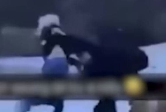 E gjuajnë veturën me topa bore, shoferja del dhe e sulmon fizikisht nxënësin (VIDEO)