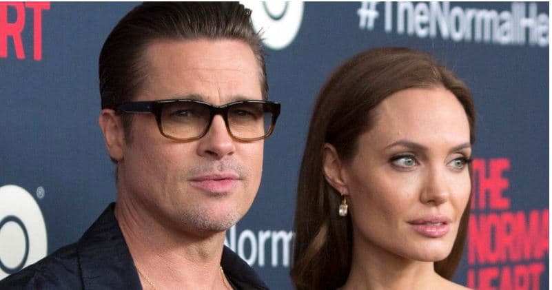 Brad Pitt padit Angelina Jolien pasi ajo shiti vreshtën ku ishin martuar