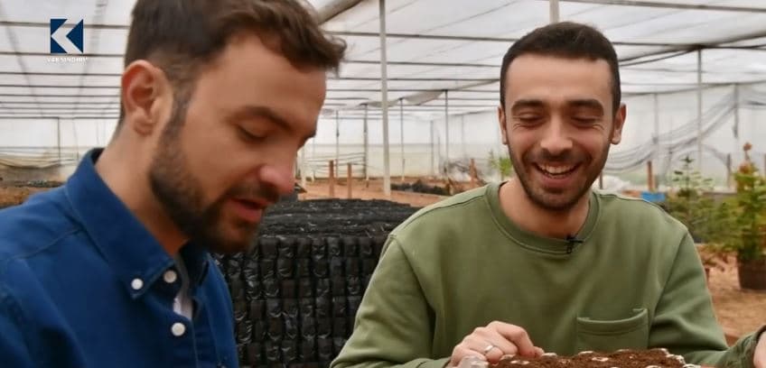 Prodhimi i rasadit në kushte shtëpiake (VIDEO)