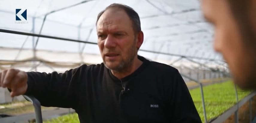 Disa këshilla mbi prodhimin e fidaneve të specit (VIDEO)